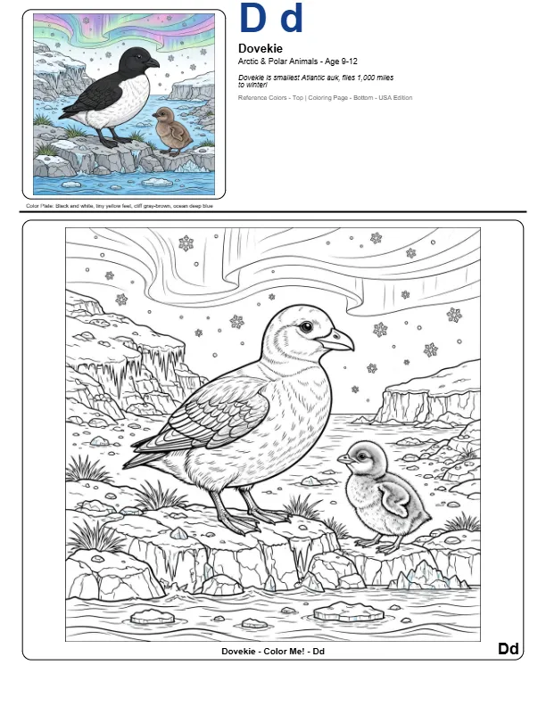 Adult Color Page Dovekie – Letter D Coloring Page