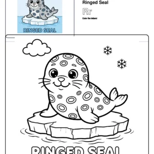 Baby Seal Coloring Pages - Letter R Coloring Page