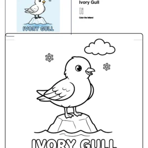 Color By Number Ivory Gull - Letter I Coloring Page