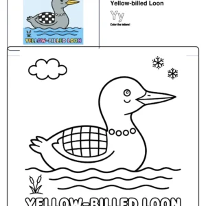 Coloring Page Yellow-billed Loon - Letter Y Coloring Page