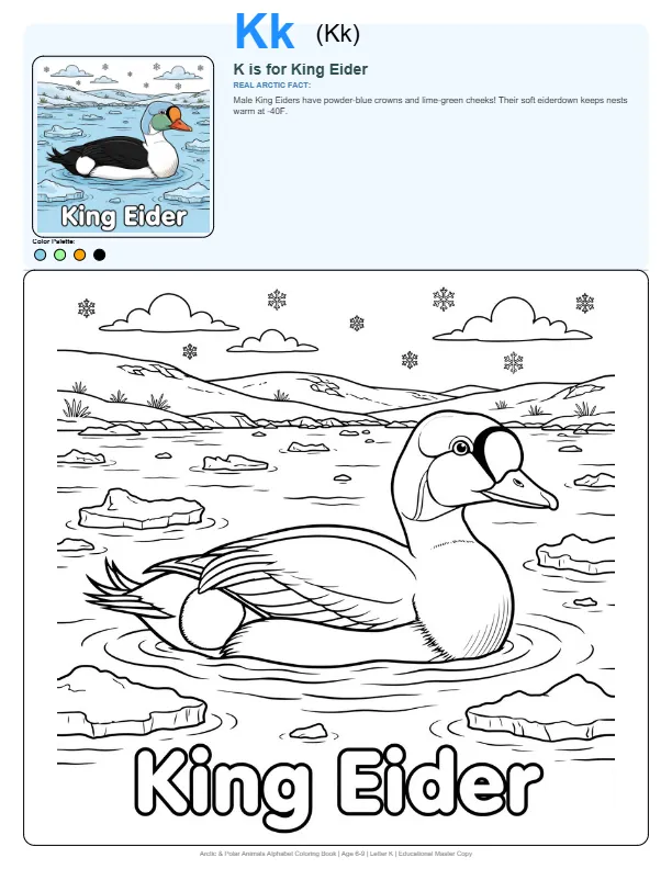 Coloring Pages To Print King Eider - Letter K Coloring Page
