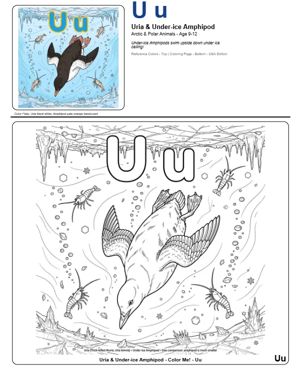 Colouring Pages To Print Uria - Letter U Coloring Page