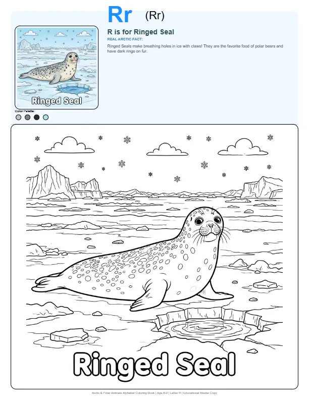 Cute Seal Coloring Page - Letter R Coloring Page