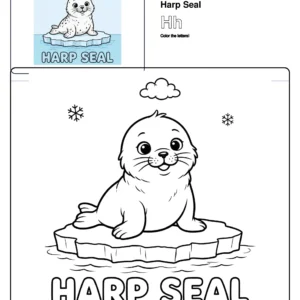 Printable Harp Seal Coloring Pages - Letter H Coloring Page