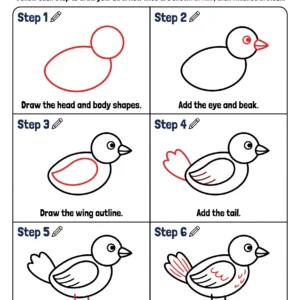 birds drawing cute pictures to draw