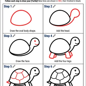 cute turtle drawing how to draw step by step
