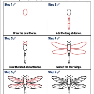 dragonfly drawing cute animal drawing